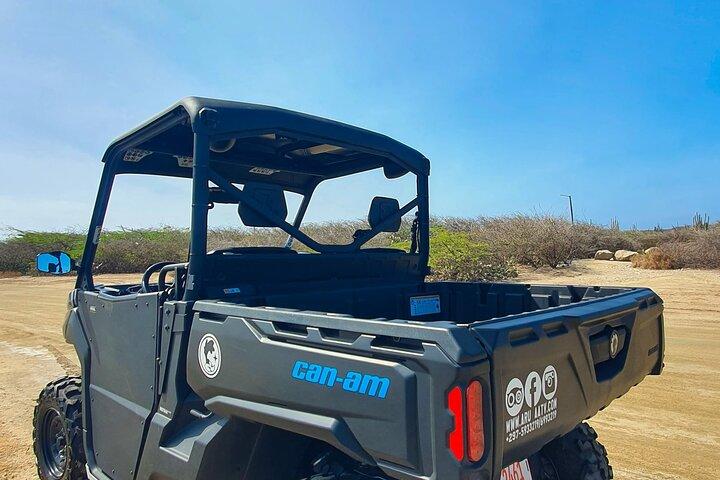 Noleggio Aruba Esplora per conto tuo