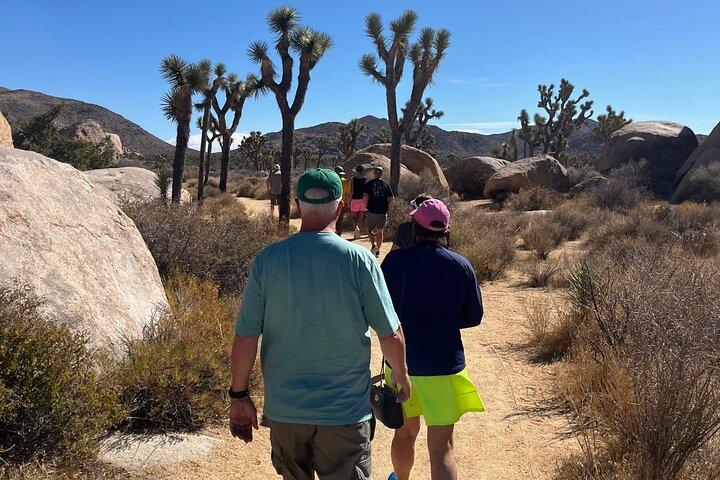 Joshua Tree National Park sightseeing äventyrstur