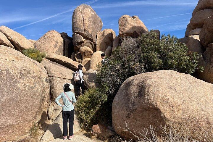 Visite guidée du parc national Joshua Tree