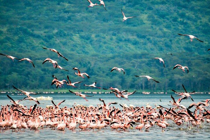 6 giorni al meglio del Kenya Safari