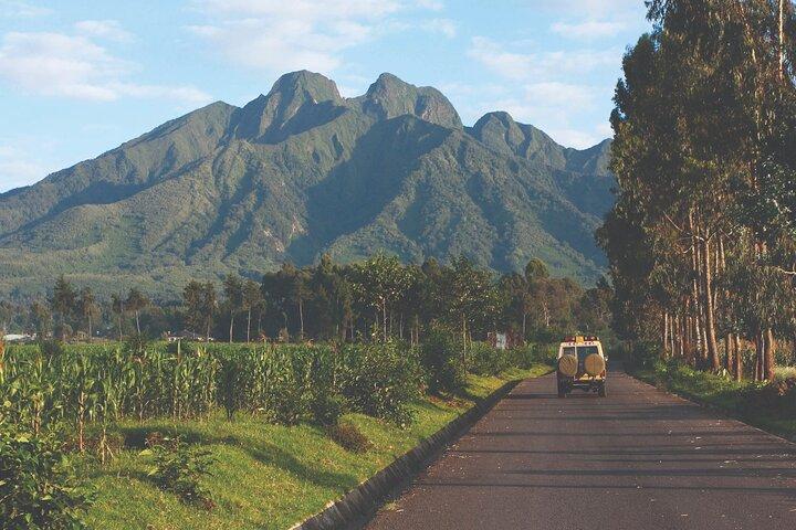 Gorilla Trekking Rwanda - A Escapada Perfeita de Um Dia
