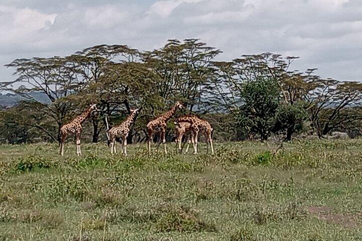 Hotéis em Nairobi National Park