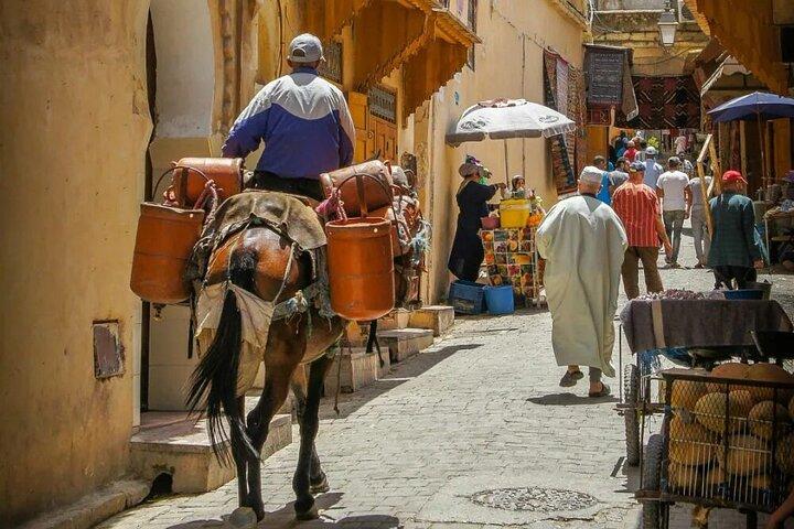 Tour privato di un'intera giornata a Fes da Casablanca