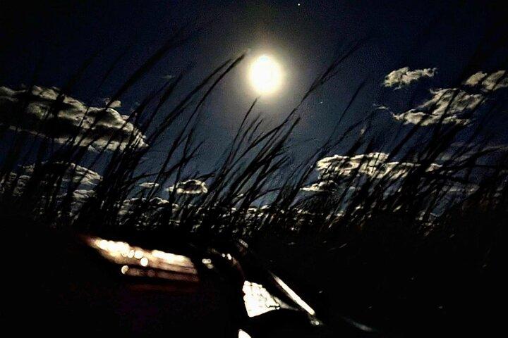 Amelia Full Moon Paddle em Talbot Islands State Park