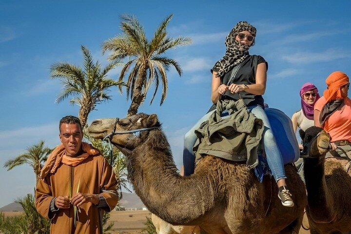 Agadir Sunset Camel Ride Tour com jantar de churrasco