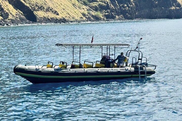 Osservazione stagionale delle megattere in piccoli gruppi a Kona