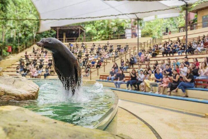 Singapore Zoo Ticket met Tram Mandai Wildlife Reserve, Singapore