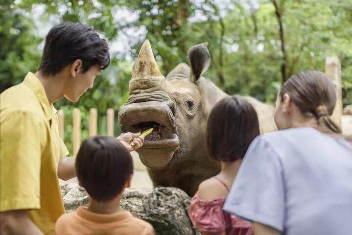 Singapore Zoo Ticket met Tram Mandai Wildlife Reserve, Singapore
