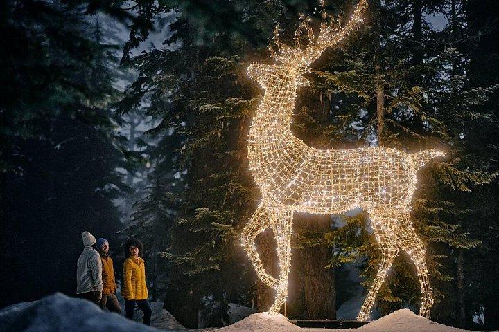 Vancouver Christmas Lights Karaokevagnstur
