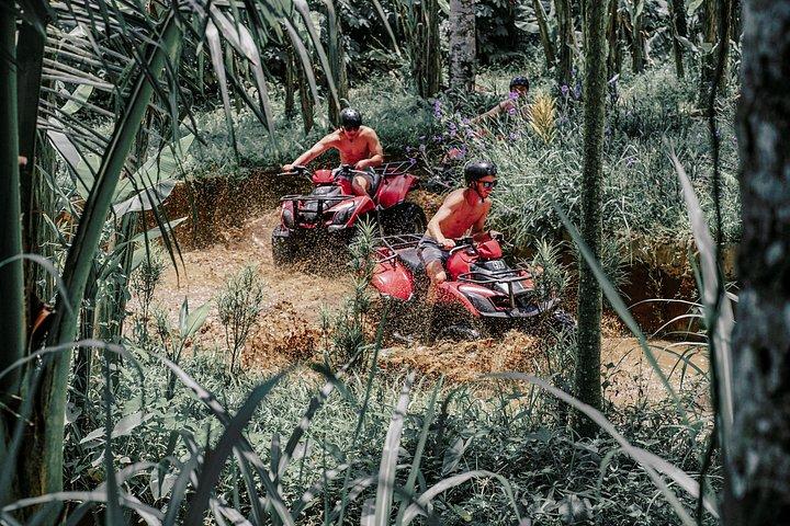 ゴリラ洞窟とライステラス付きウブドATVクワッドバイク