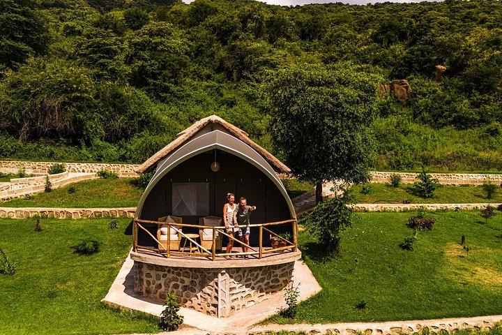 Arusha: 9 Day Multi-Park Flexible Migration Roundtrip safari