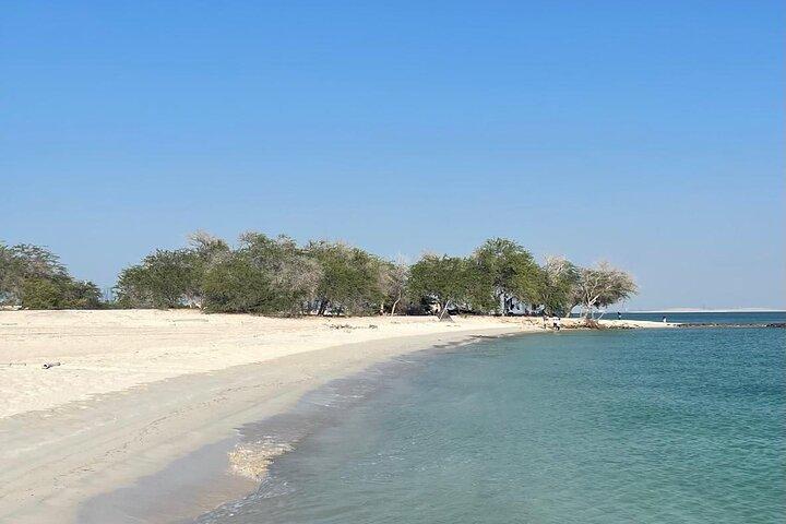 Safari Island Abenteuer mit Speed Boat