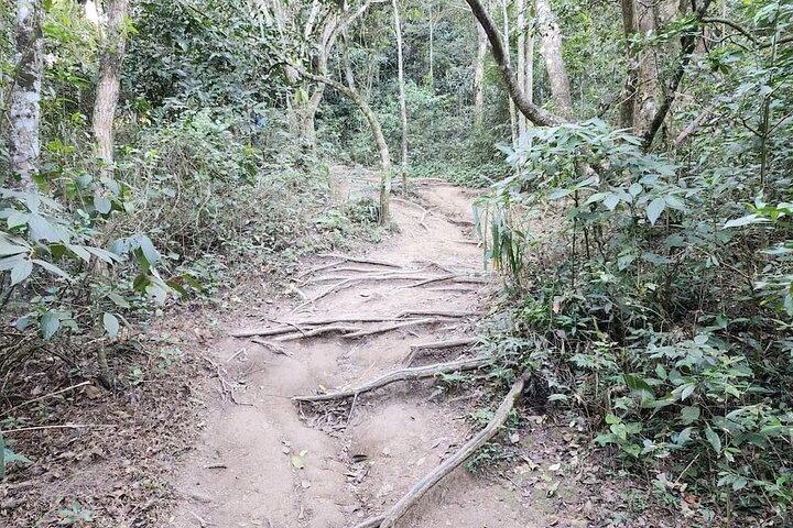 Descubra o Pedra do Telégrafo em Rio de Janeiro