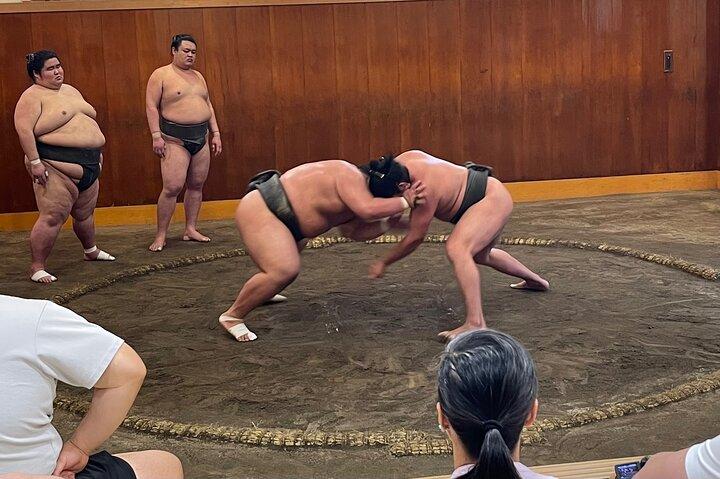 椅子席保証相撲練習+写真+文化オプション