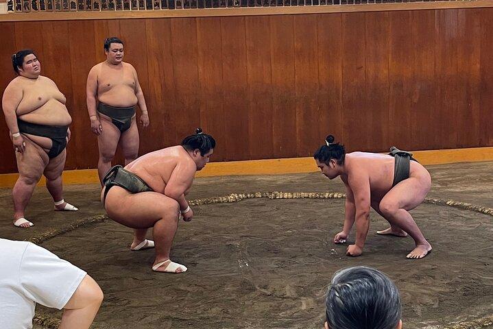 椅子席保証相撲練習+写真+文化オプション