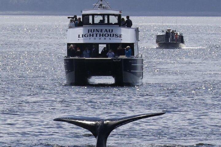 Juneau Lighthouse Tours - Observation des baleines & Lighthouse Combo