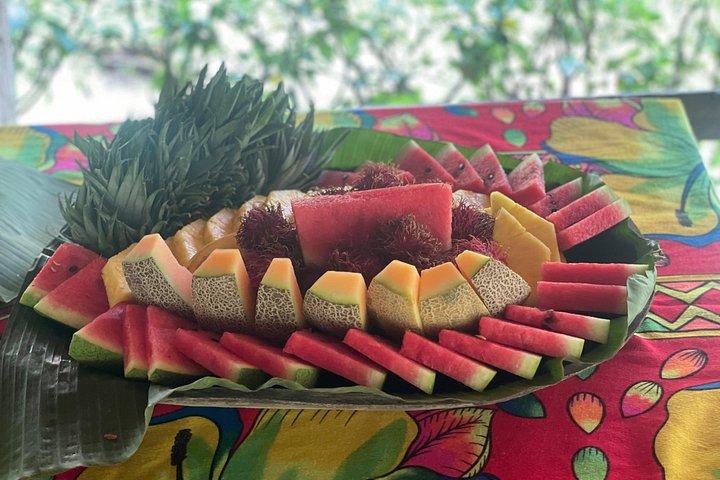 パナマシティ：エンベラインディアンの村と滝を訪れ、昼食を楽しむ
