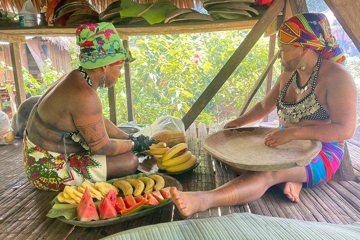 パナマシティ：エンベラインディアンの村と滝を訪れ、昼食を楽しむ