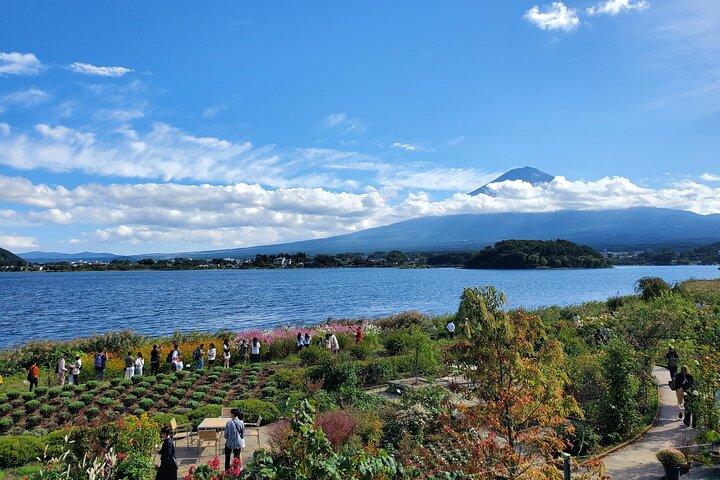 Mt. Fuji Customizable Private Tour for 9 people
