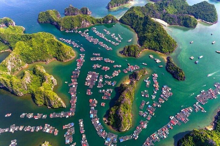 Erkunden Sie Lan Ha Bay mit 5-Sterne-Serenity Day Cruise ab Hanoi