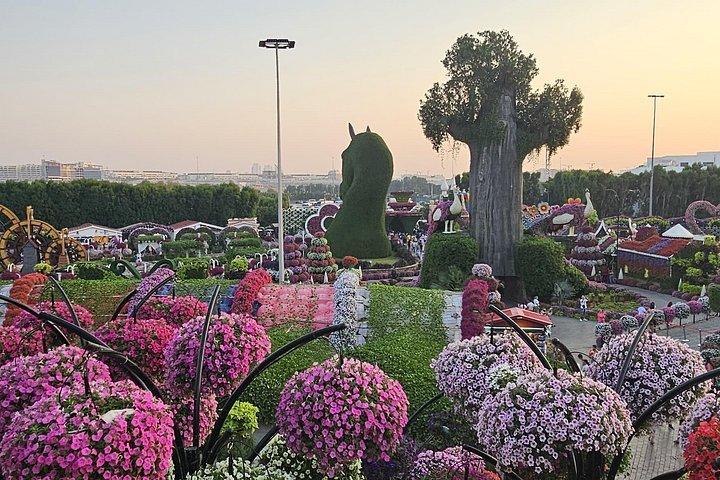 Skip-the-line Ticket for Dubai Miracle Garden