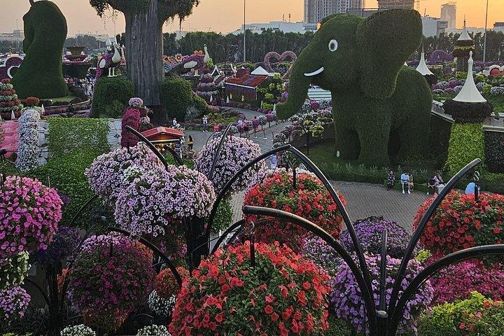 Skip-the-line Ticket for Dubai Miracle Garden