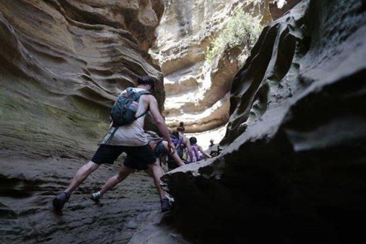 Tour di un giorno al lago Naivasha, Crescent Island e Hell Gate Park