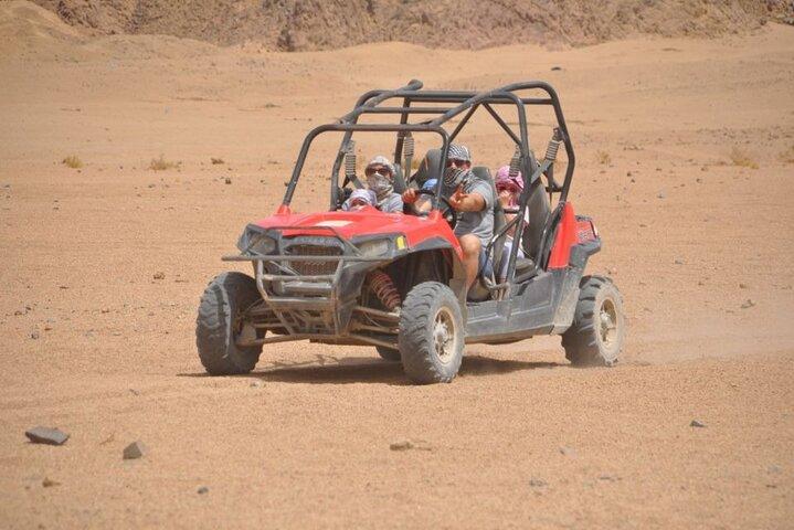 Coche privado de aventura en el desierto del Sinaí desde Sharm El Sheikh