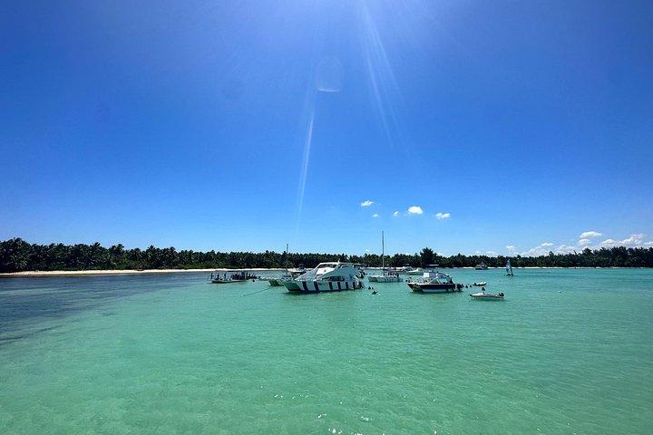プンタ・カナ: カタマランツアー、リーフシュノーケリング、飲み放題！