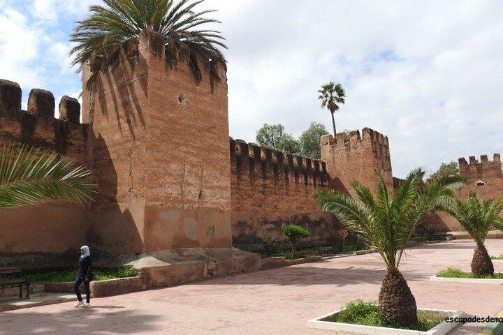 Tour guidato di un giorno all'oasi di Taroudant e Tiout con pranzo