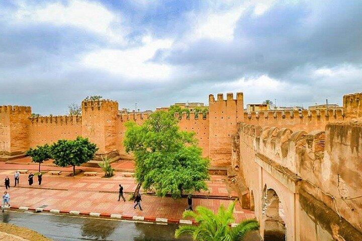 Tour guidato di un giorno all'oasi di Taroudant e Tiout con pranzo