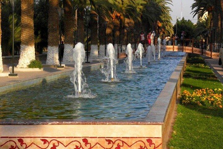 Tour guidato di un giorno all'oasi di Taroudant e Tiout con pranzo