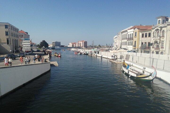 Private Transfer From Lisbon to Porto Full Day Tour
