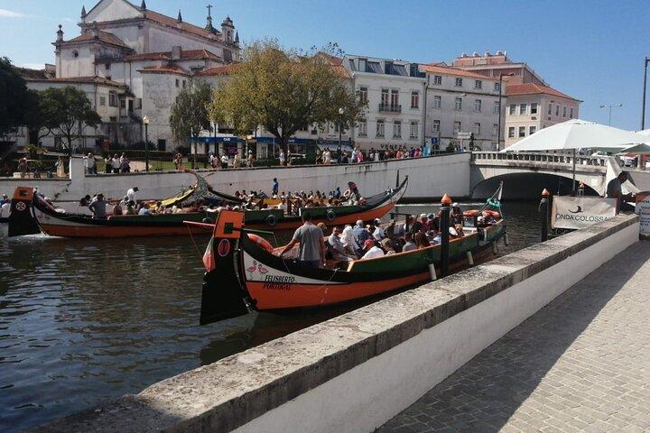 Private Transfer From Lisbon to Porto Full Day Tour