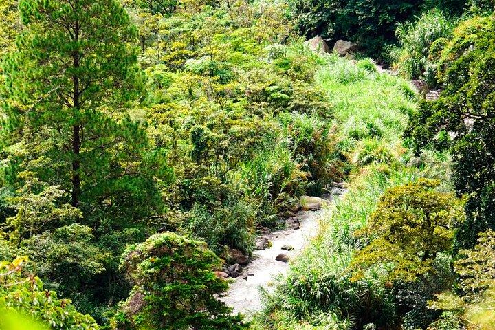 Private E-Bike Coffee Tour in Boquete