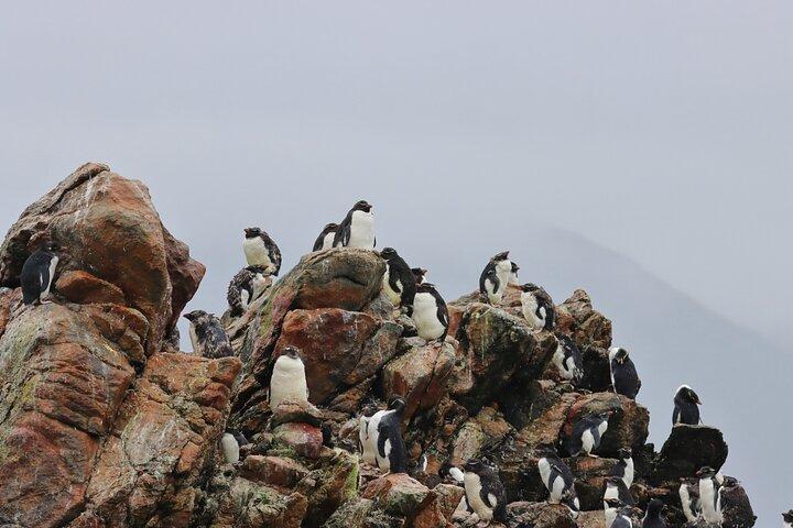 Multiday Tour Tierra del Fuego