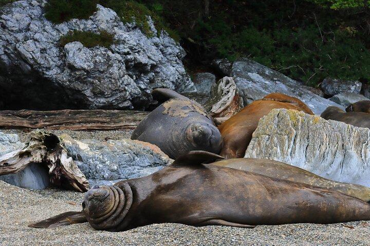Multiday Tour Tierra del Fuego