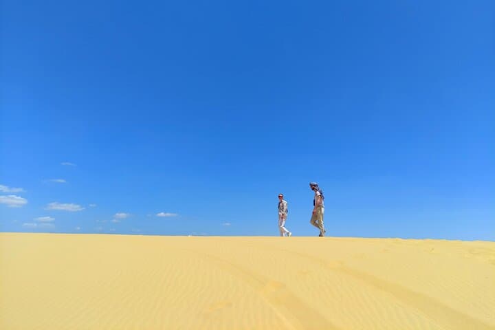 Fayoum Oasis Adventure: Nature, History, and Excitement