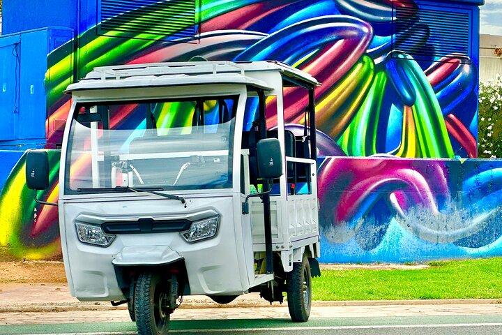 Valencia: Tuk tuk tur