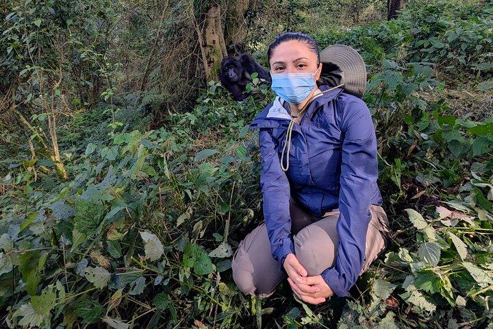 4 Tage Gorilla Habituation Experience