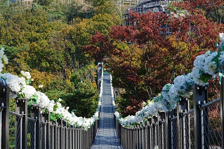 Private Tour: DMZ Aegibong & Korean Culinary Workshop Experience