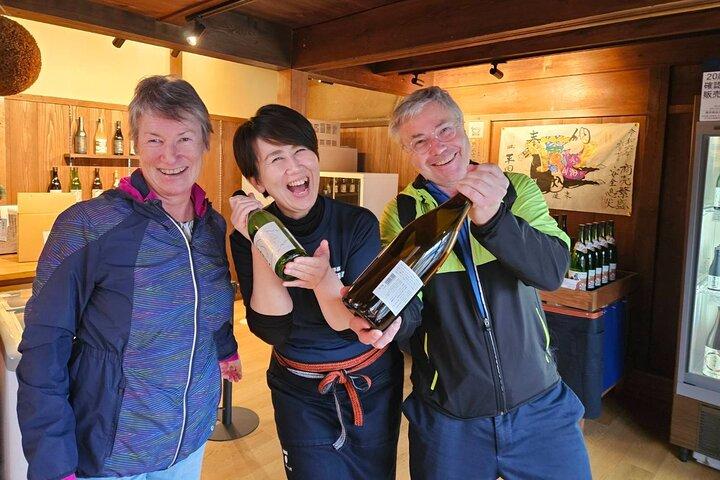 Takayama halvdagstur (privat guide)