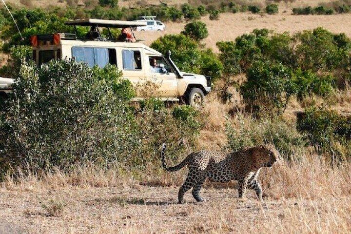 Privat dagstur till Amboseli nationalpark