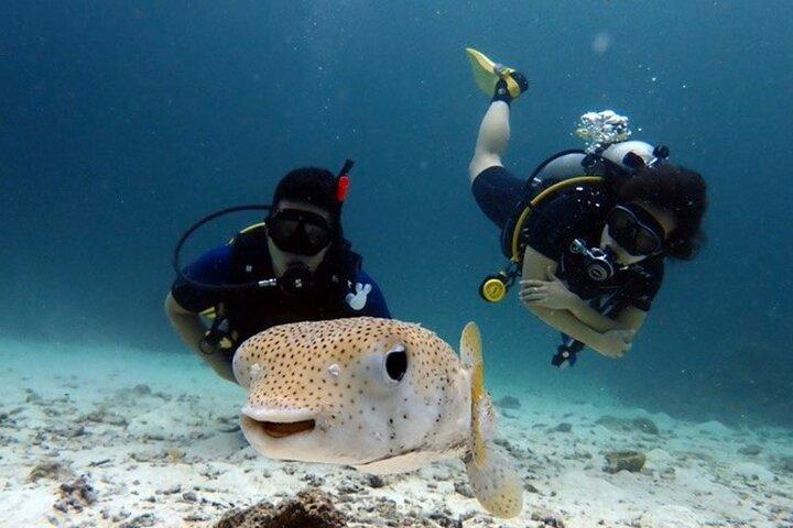 Prueba el buceo en Racha Yai y Noi sin certificado