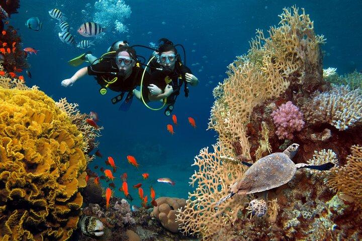 Prueba el buceo en Racha Yai y Noi sin certificado