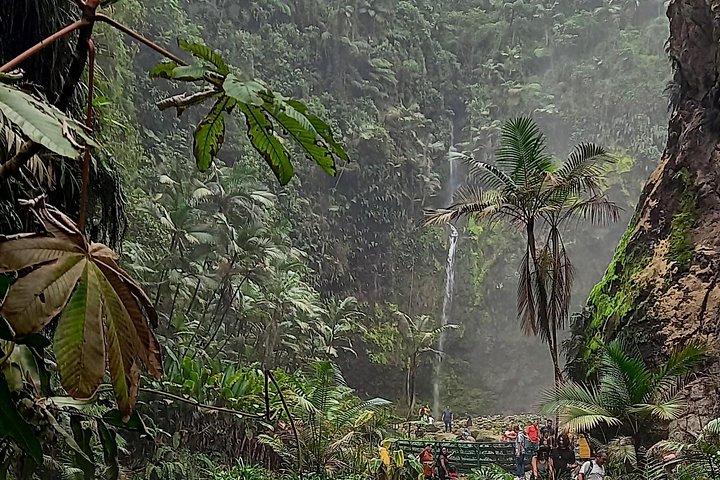SJO空港からラ・フォルトゥナ・アレナル火山ホテルへのプライベート送迎