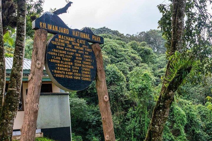 8 dagars Kilimanjaro Trek Machame Route