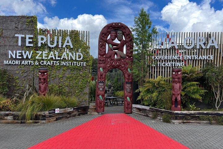 オークランド：TE PUIAロトルア、ポリネシアンスパ＆ブルースプリングス日帰りツアー