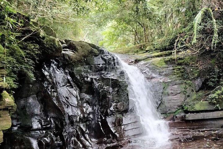 Excursión privada de un día al Parque Nacional Bach Ma desde Hoi An/Da Nang o Hue