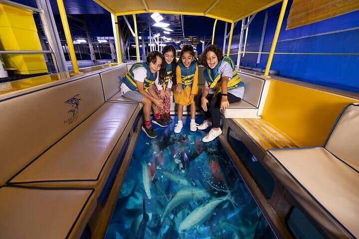 Dubai Aquarium And Underwater Zoo
